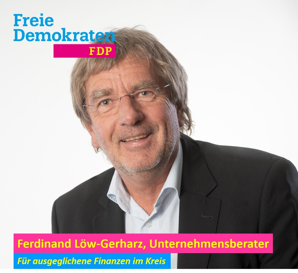 Ferdinand Löw-Gerharz, Unternehmensberater